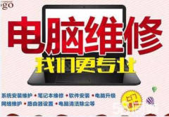 全濰坊維修電腦,網(wǎng)絡(luò)維護(hù),恢復(fù)數(shù)據(jù),監(jiān)控安裝快速上