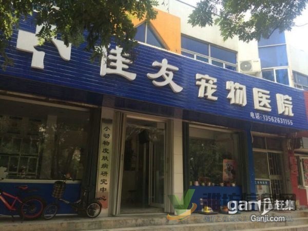 濰坊最權威的綜合性寵物醫院