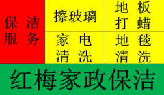 紅梅家政保潔的圖標