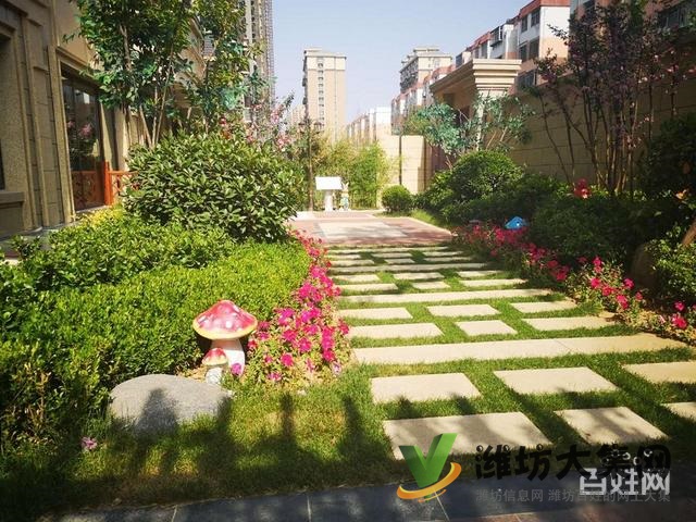 萬達近陽光假日白浪河畔 四層墅質洋房一樓帶院送負一