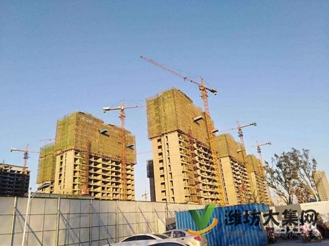 高新區恒大名都近!內部團購價 中南保利樾府 即買即