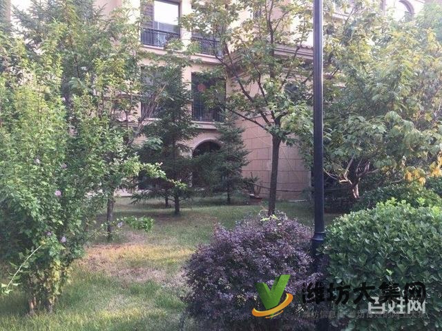 奎文白浪河畔愛(ài)琴海大H戶型145平僅需113萬(wàn) 現(xiàn)房