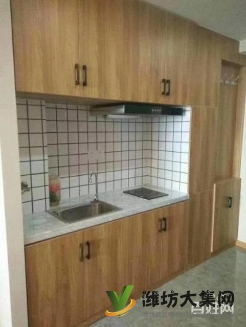 民生街四平路精裝現(xiàn)房公寓 帶托管 也可以自住每周都