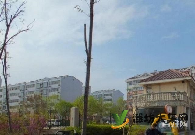 搶!好房!福壽街文化路 舜都花園多層一樓 全明大三