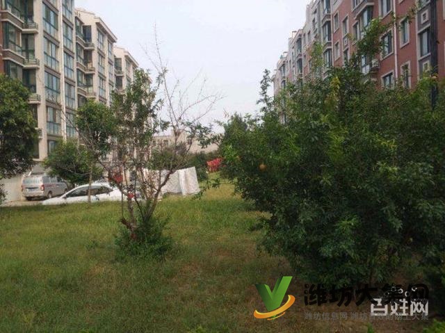 廣文學(xué) 區(qū)房 鳶飛路衛(wèi)校人民近 多層一樓看房方便