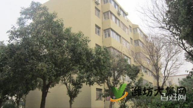 文化路與櫻前街學校近128平米三室朝陽75萬 看房