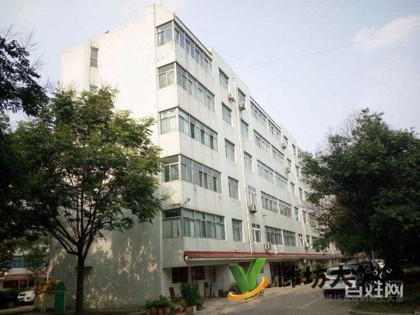 花園式單位房 120平3室2廳 三明廳北55萬