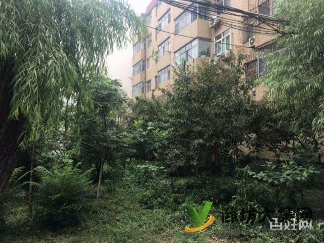 櫻前街莊櫻路盛世華府南鄰 交通局宿舍精裝3室 樓層