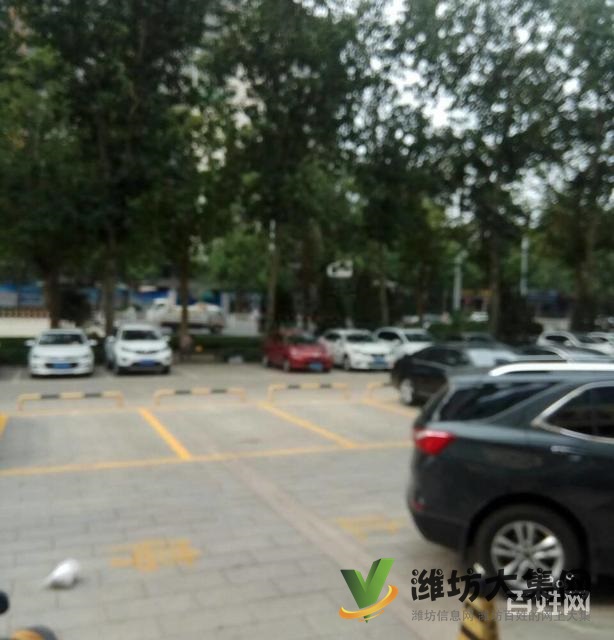 萬(wàn)達(dá)九層電梯洋房雙商圈三室兩廳兩衛(wèi)南北通透132平