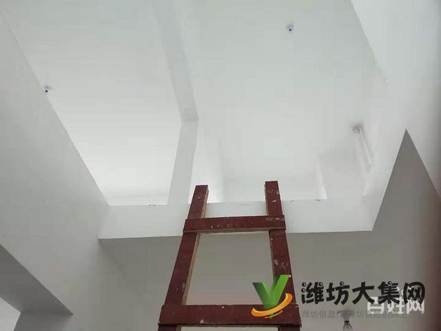 急售 青云瑞景園 現(xiàn)房大H戶型 復式 明德學校 5