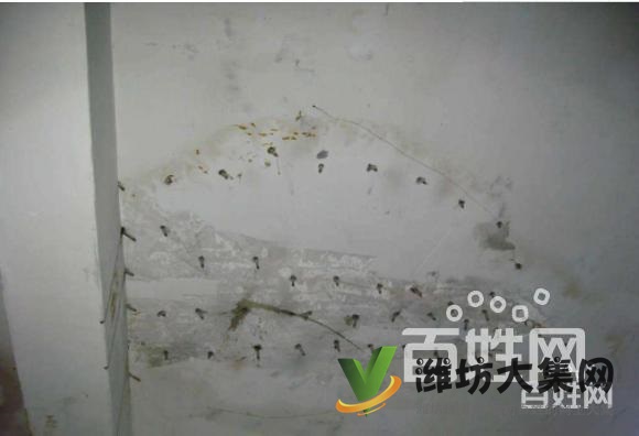 濰坊房子漏水補漏,專業師傅