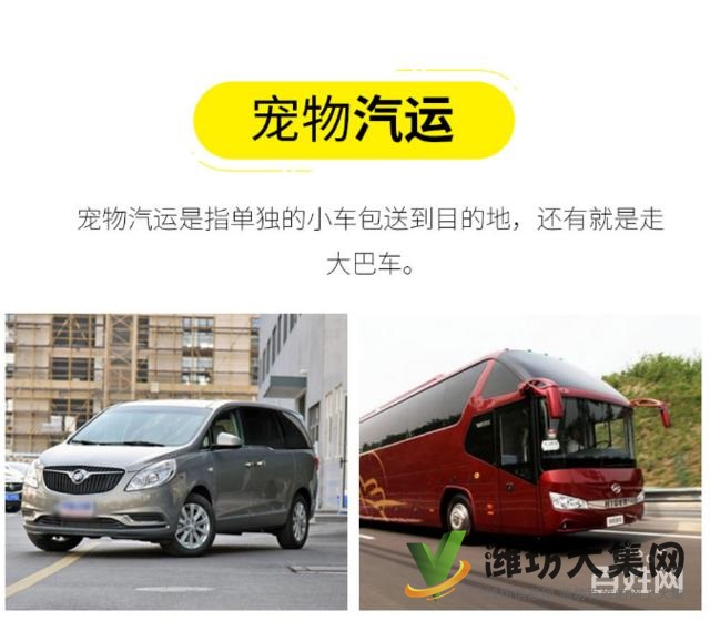 濰坊哪里有寵物托運公司 托運寵物多少錢?