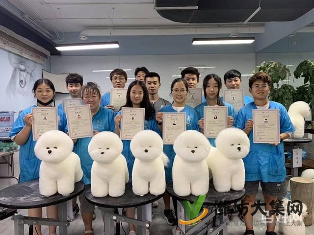 濰坊寵物美容學(xué)校培訓(xùn)去哪好?狗狗美容師培訓(xùn)學(xué)校