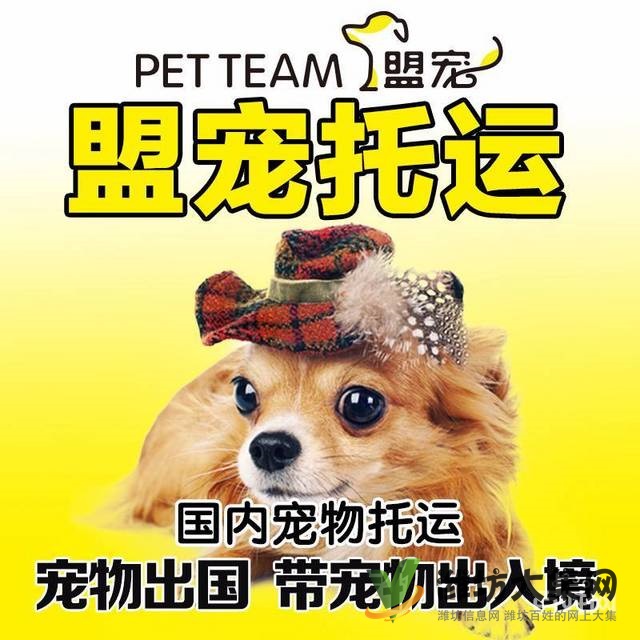 濰坊哪里有寵物托運公司 托運寵物多少錢?