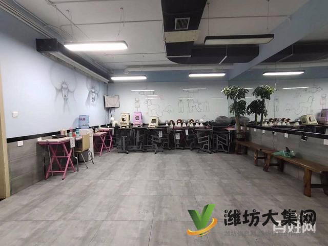 濰坊寵物美容學(xué)校培訓(xùn)去哪好?狗狗美容師培訓(xùn)學(xué)校