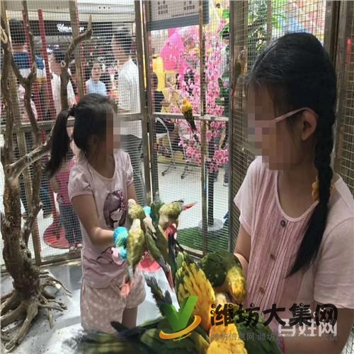 慶陽市哪家出租馬戲團(tuán)表演價(jià)格行情