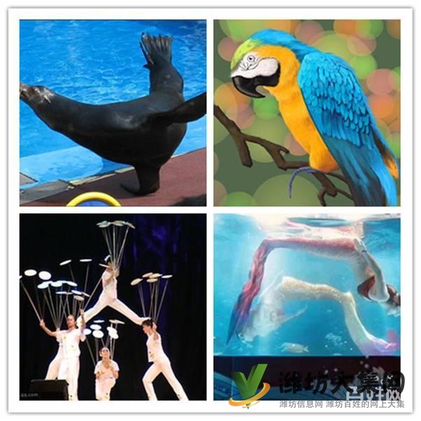 濰坊市哪里有馬戲團表演出租 環球飛車租賃