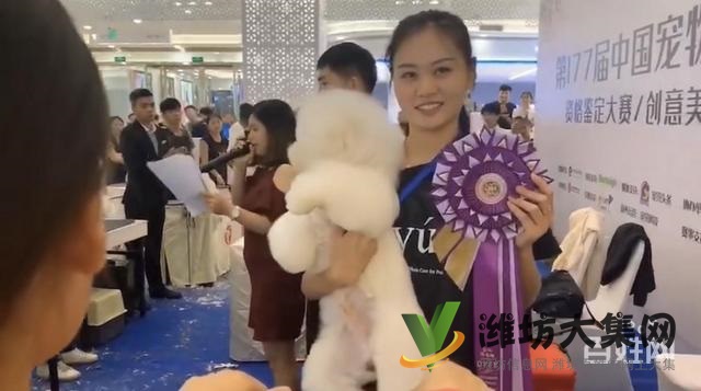 濰坊寵物美容學(xué)校培訓(xùn)正規(guī)嗎|一諾寵物美容培訓(xùn)學(xué)校