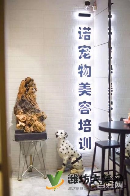 濰坊寵物美容培訓(xùn)中心怎么選|一諾寵物美容師培訓(xùn)