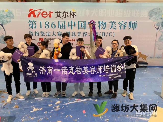 濰坊寵物美容師培訓,寵物美容培訓哪里好教得好?