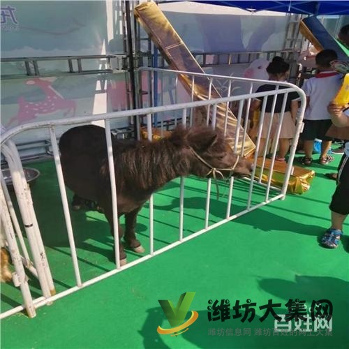 慶陽市哪家出租馬戲團(tuán)表演價(jià)格行情