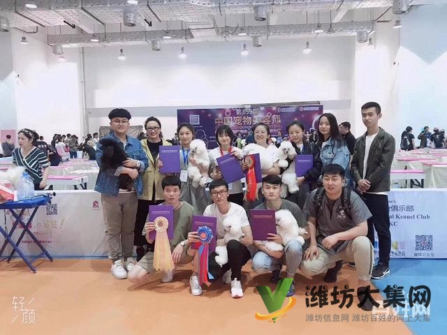 濰坊寵物美容師培訓,寵物美容培訓哪里好教得好?