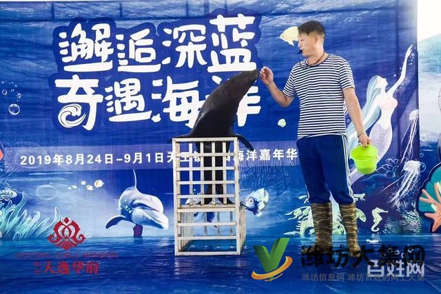 濰坊海洋展資源出租海洋館生物展企鵝海獅租賃