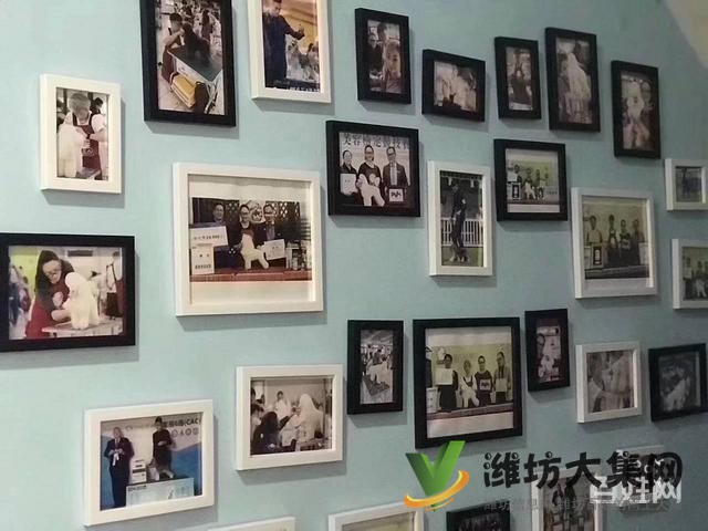 濰坊寵物美容培訓(xùn)中心怎么選|一諾寵物美容師培訓(xùn)
