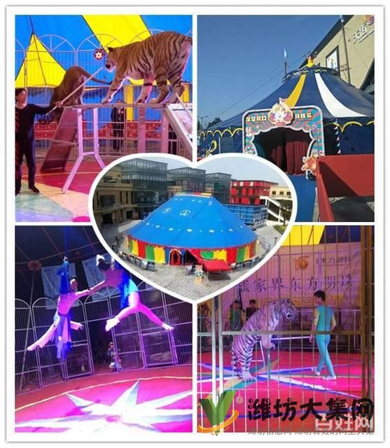 諸城市 馬戲團表演 企鵝展覽出租