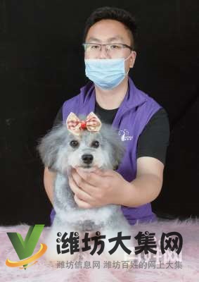 濰坊初級寵物美容培訓班課程,怎么樣