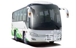 靖江去青州汽車寵物托運全程高速