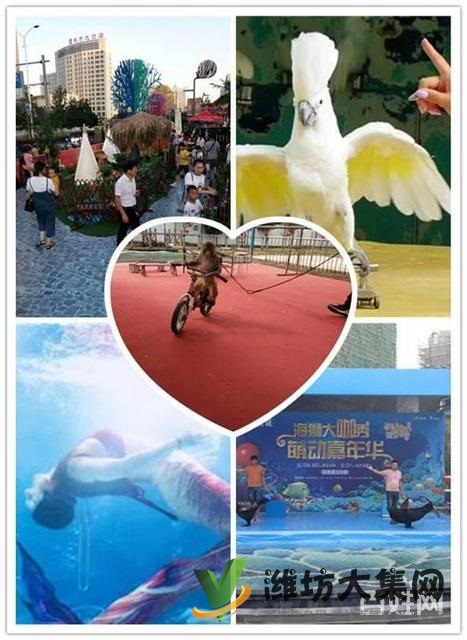 諸城市萌寵動物展 海洋魚缸展租賃