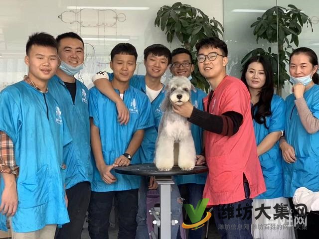 濰坊寵物美容師培訓,寵物美容培訓哪里好教得好?
