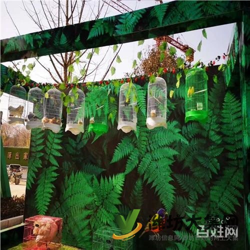 宿遷市海洋生物魚缸展出租供應商