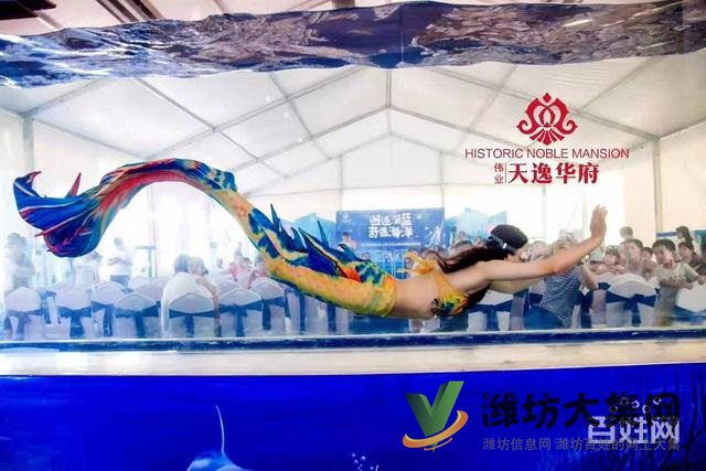 濰坊海洋展資源出租海洋館生物展企鵝海獅租賃