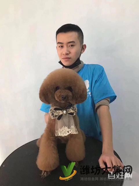 濰坊寵物美容學(xué)校培訓(xùn)正規(guī)嗎|一諾寵物美容培訓(xùn)學(xué)校