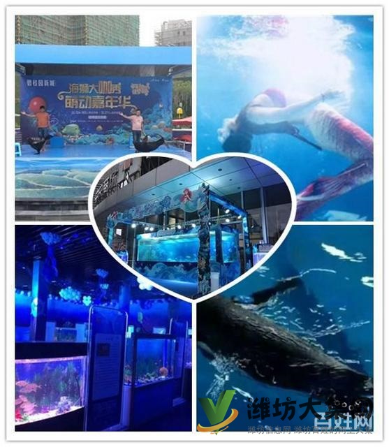 諸城市 馬戲團表演 企鵝展覽出租