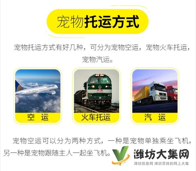 濰坊哪里有寵物托運公司 托運寵物多少錢?