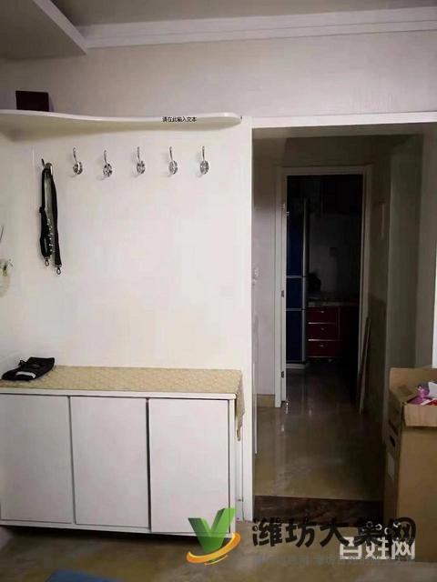 中百大廈對面新天地購物城100平米南北通透精裝修家