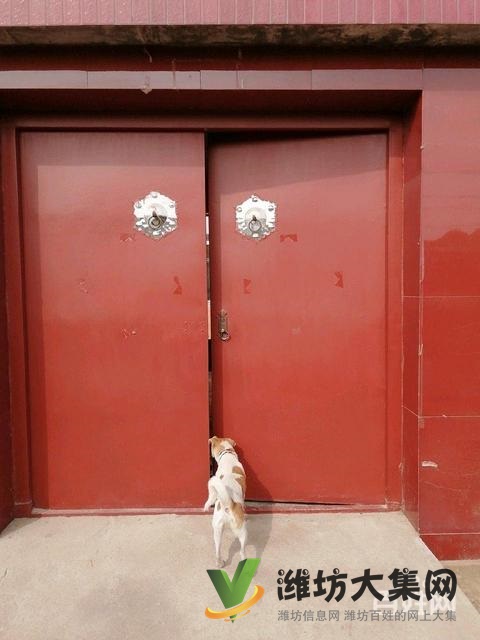 光明小區(qū)核心美宅,溫馨3室,點(diǎn)擊一次 幸福 一生