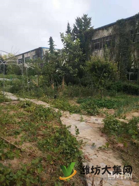 (快租無中介費(fèi))高新區(qū)臥龍街東方路寫字樓出租