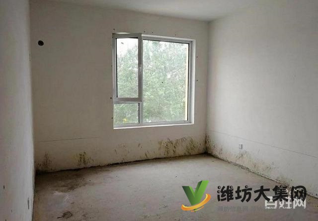 6500一平大平層圣基 金碧廣場 193平四室現(xiàn)房