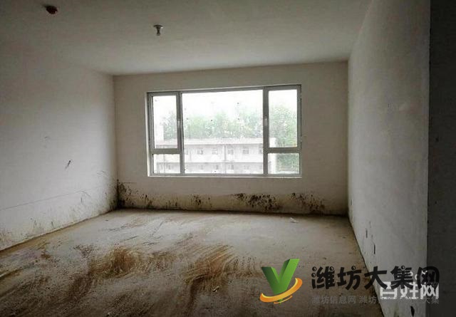 6500一平大平層圣基 金碧廣場 193平四室現(xiàn)房