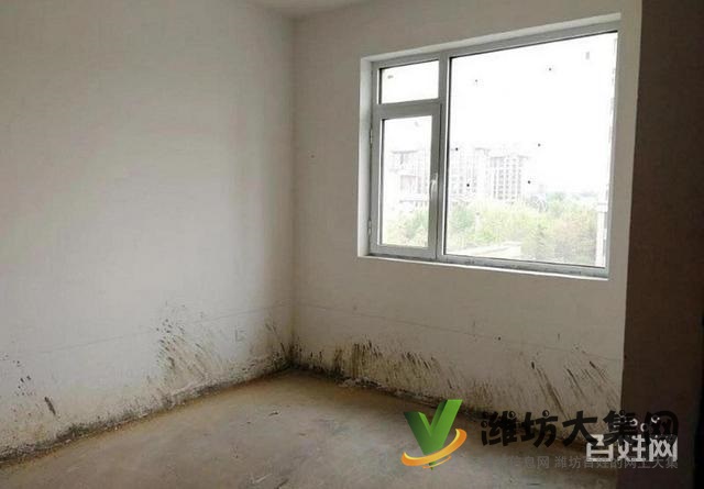 6500一平大平層圣基 金碧廣場 193平四室現(xiàn)房