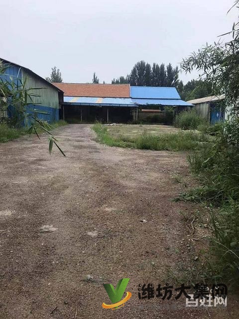 (快租免費尋址)諸城石橋子鎮大店子村廠房出租