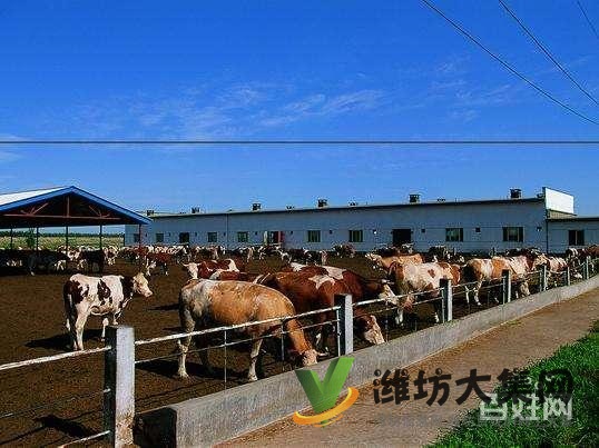 {快租免費(fèi)尋址}壽光稻田鎮(zhèn)東龐陳村養(yǎng)殖場(chǎng)出租