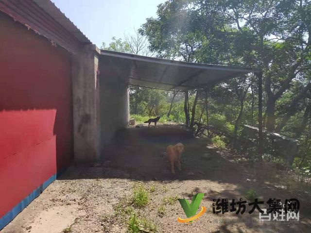 (快租免費尋址)濰城區寶通街符山鎮下八甲村廠房出租