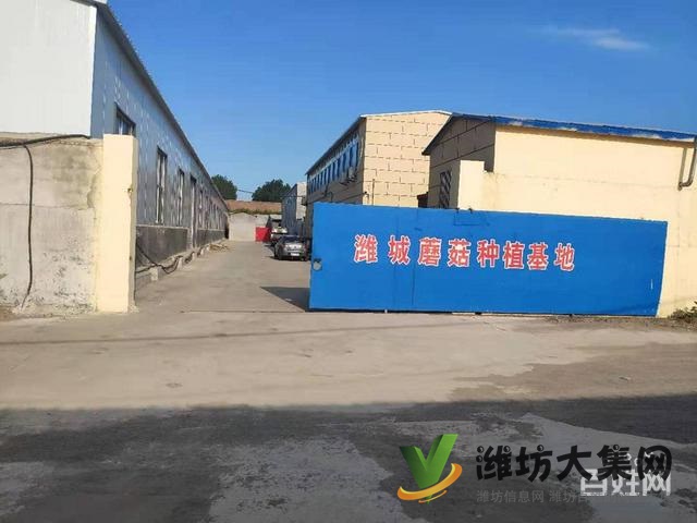 (快租免費尋址)濰城望留街辦望留屯廠房可租可售