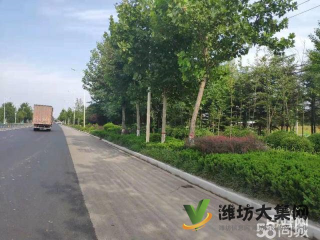 (快租免費尋址)坊子新區(qū)濰膠路南店村廠房出租