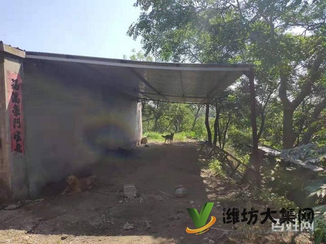 (快租免費尋址)濰城區寶通街符山鎮下八甲村廠房出租